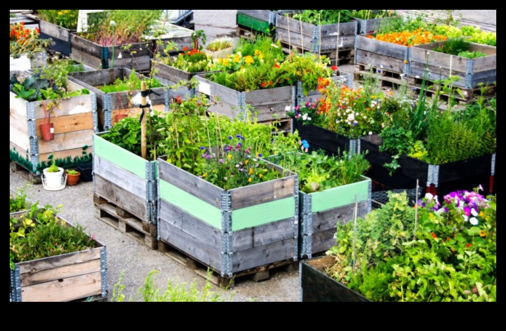 City Greens Grow Your Own Food in the Concrete Jungle 1 City Greens: Urban Gardening Essentials for Beginners