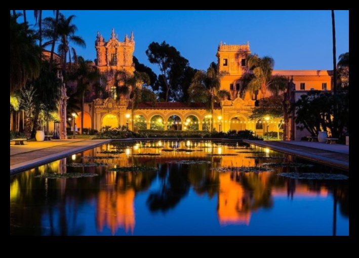 City Lights A Nocturnal Tour 1