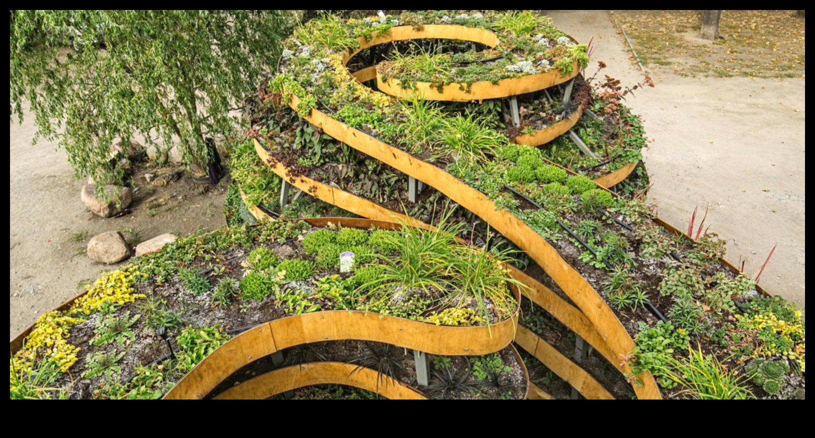 City Parks: Green Lungs Amidst Urban Bustle