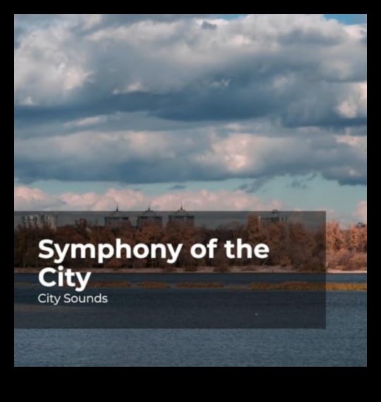 Urban Soundscapes: Noise and Music in City Life