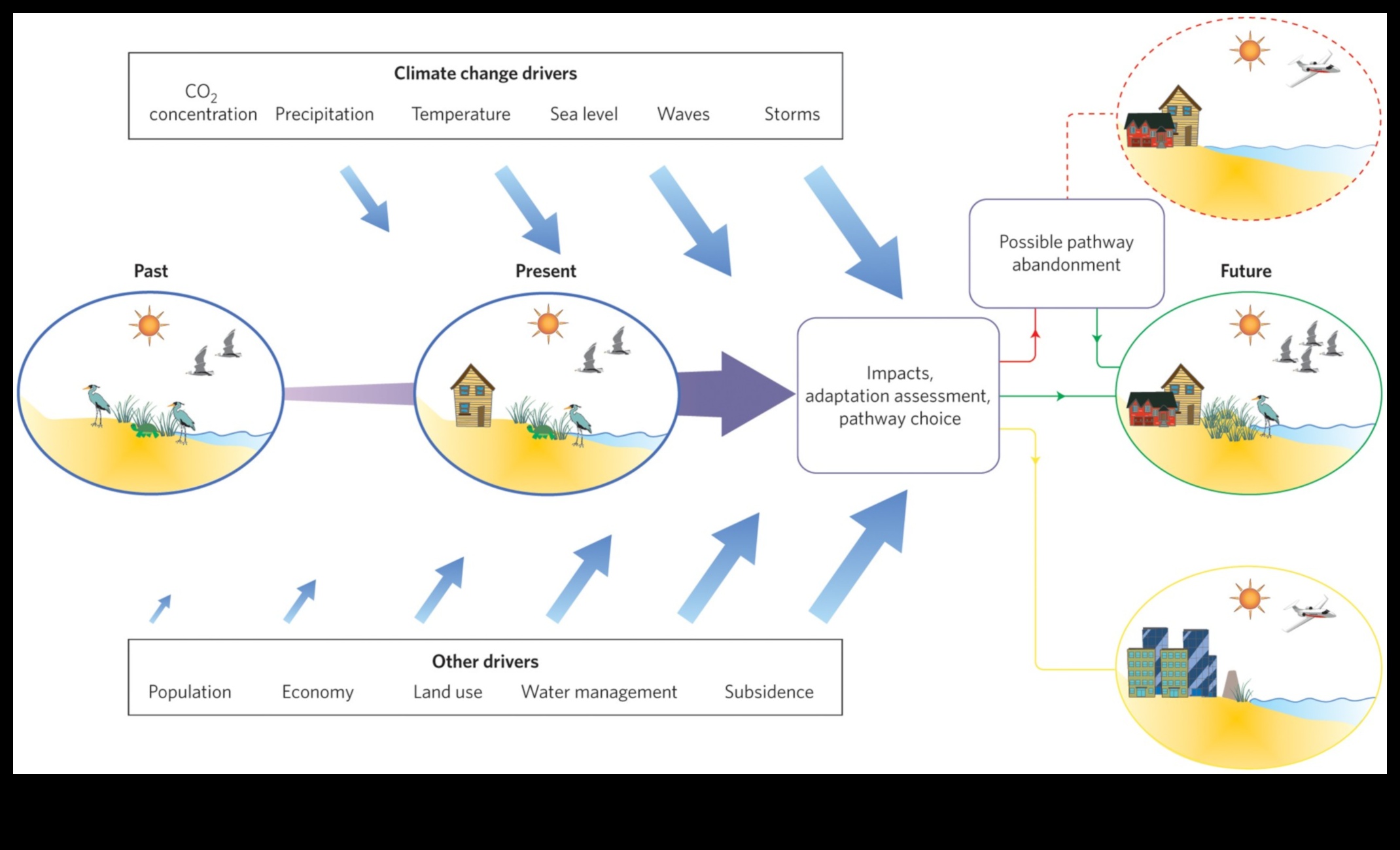 What is the impact of climate change on the preservation of coastal landscapes?