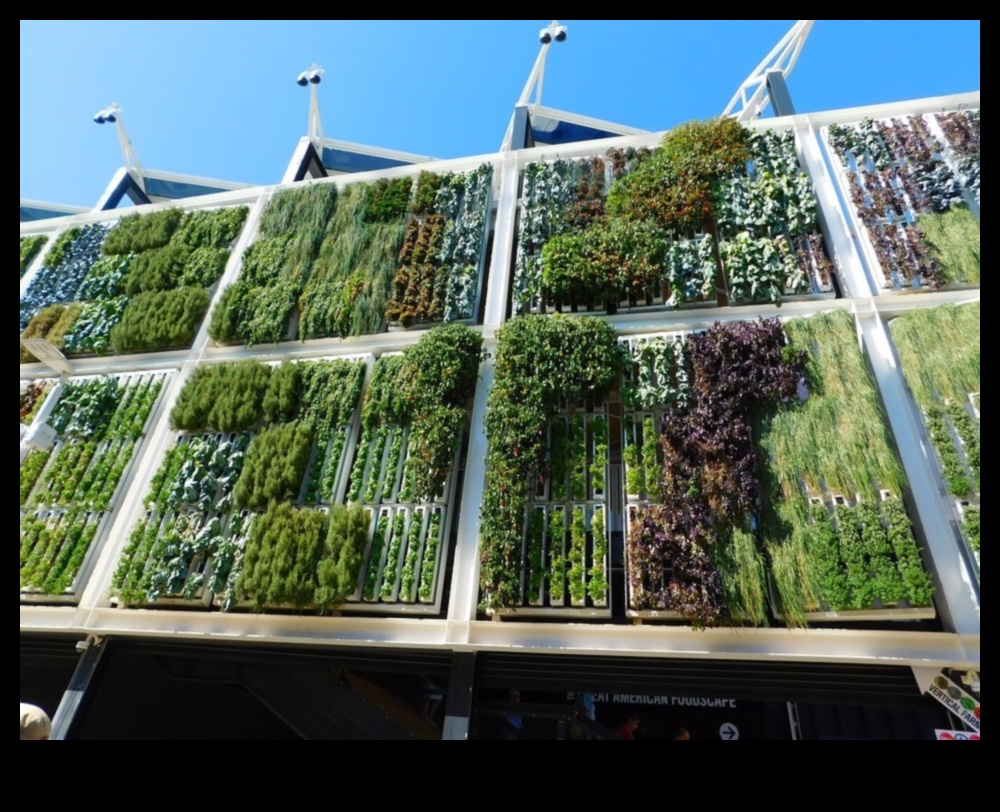 Climbing to Beauty How to Create a Vertical Garden That Will Wow Your Guests 1