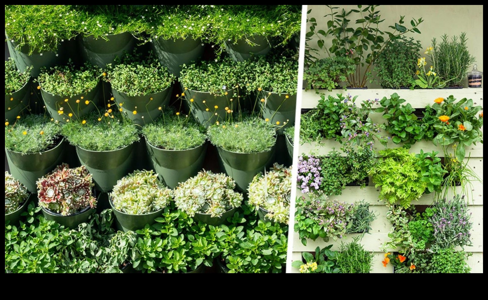 Climbing to Beauty How to Create a Vertical Garden That Will Wow Your Guests 2 Climbing to Beauty: Vertical Gardening Secrets Exposed