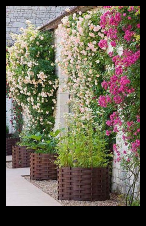 Climbing to Blossom 50+ Vertical Gardening Inspirations 3 Climbing to Blossom: Vertical Gardening Inspirations