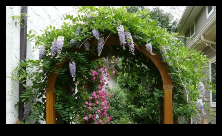 Climbing to Blossom 50+ Vertical Gardening Inspirations 4 Climbing to Blossom: Vertical Gardening Inspirations