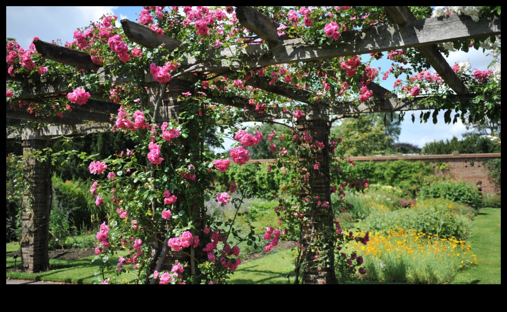 Climbing to Blossom 50+ Vertical Gardening Inspirations 5 Climbing to Blossom: Vertical Gardening Inspirations