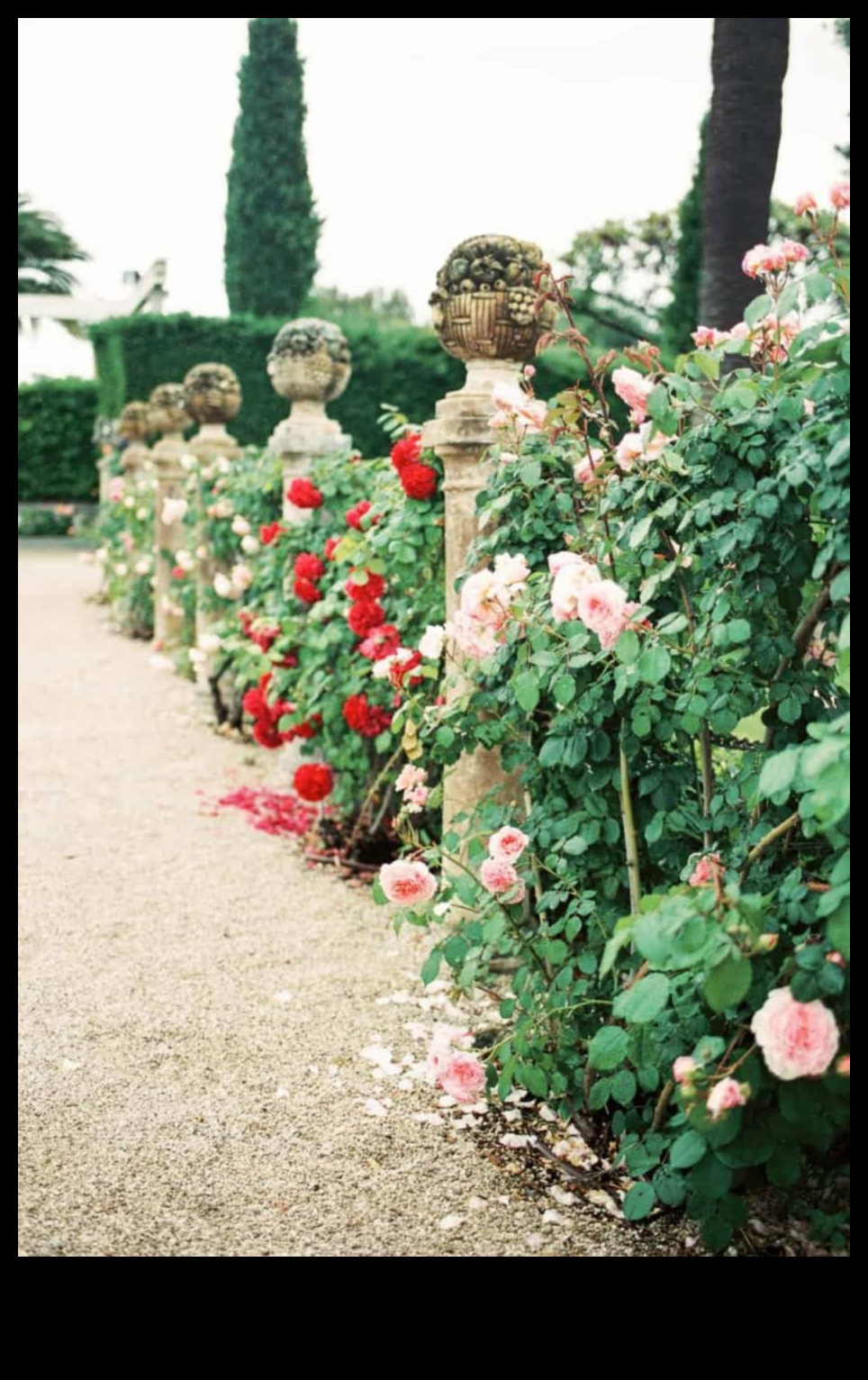 Climbing to Elegance Vertical Gardens That Will Take Your Breath Away 5 Climbing to Elegance: Vertical Gardening Marvels