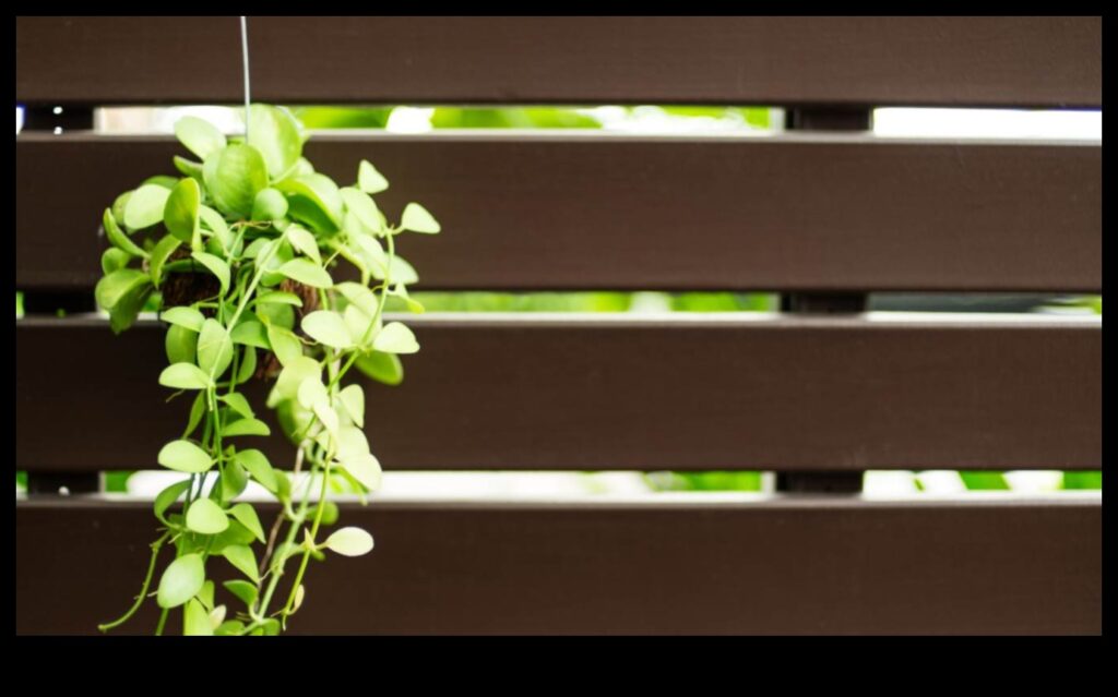 Climbing to Greenery Master Vertical Gardening with These 5 Tips 1