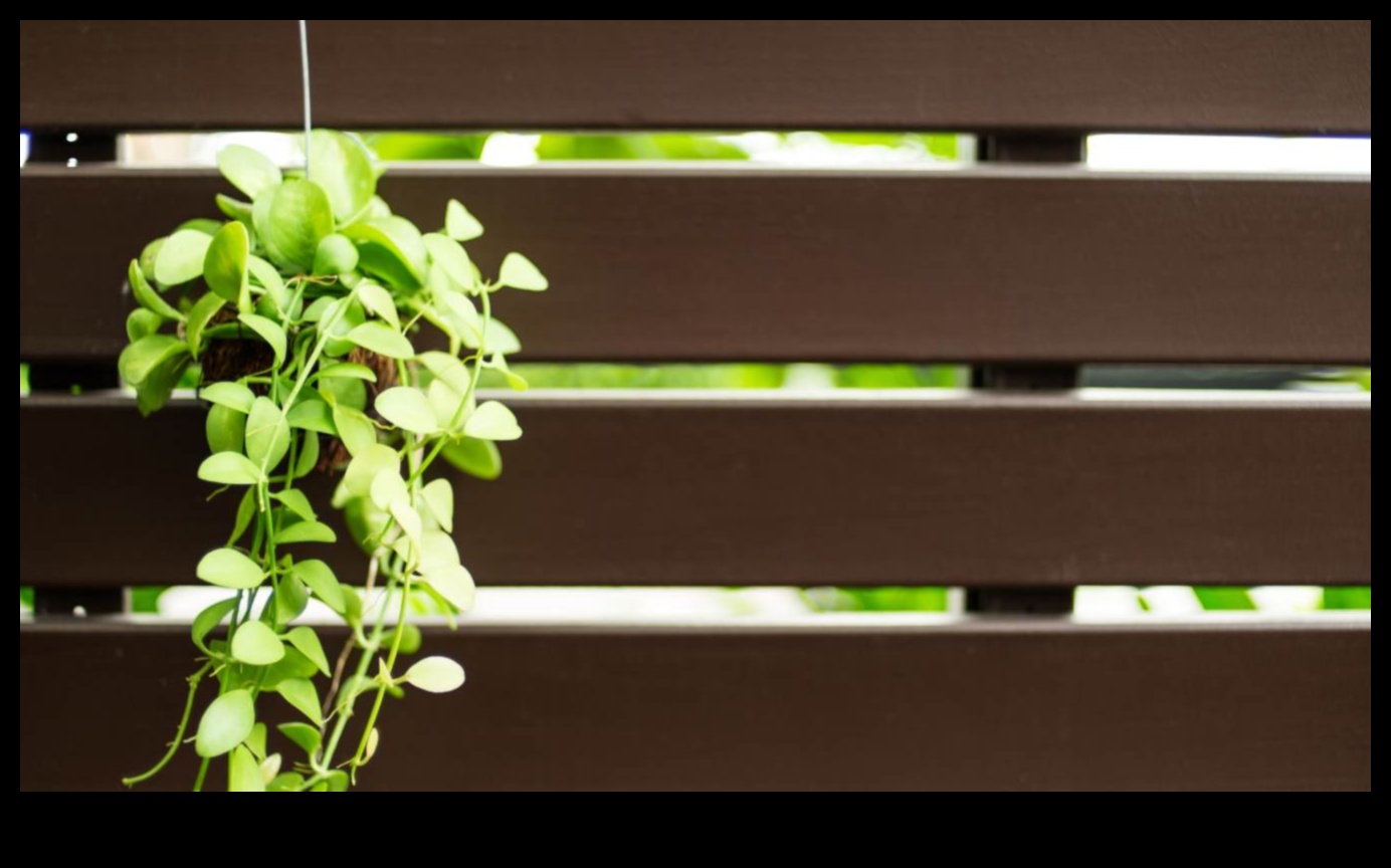 Climbing to Greenery Master Vertical Gardening with These 5 Tips 1 Climbing to Greenery: Vertical Gardening Mastery