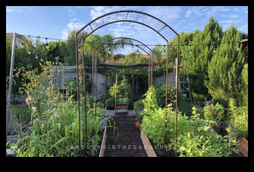 Climbing to Greenery Master Vertical Gardening with These 5 Tips 4 Climbing to Greenery: Vertical Gardening Mastery
