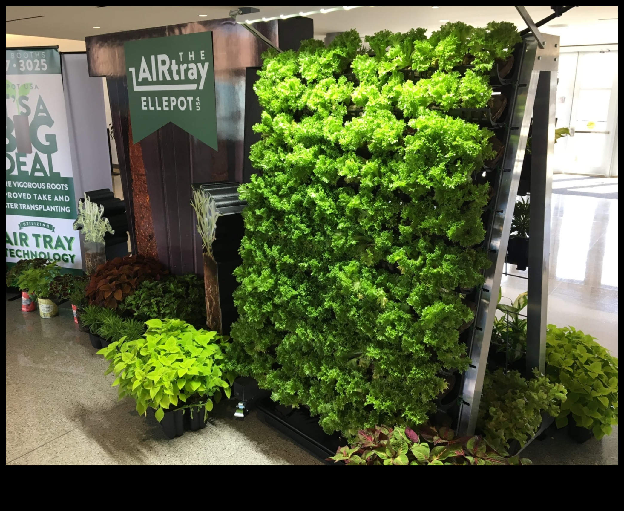 Climbing to Paradise Vertical Gardening Mastery RevealedHow to Grow Your Own Garden in the Air 5 Climbing to Paradise: Vertical Gardening Mastery Revealed