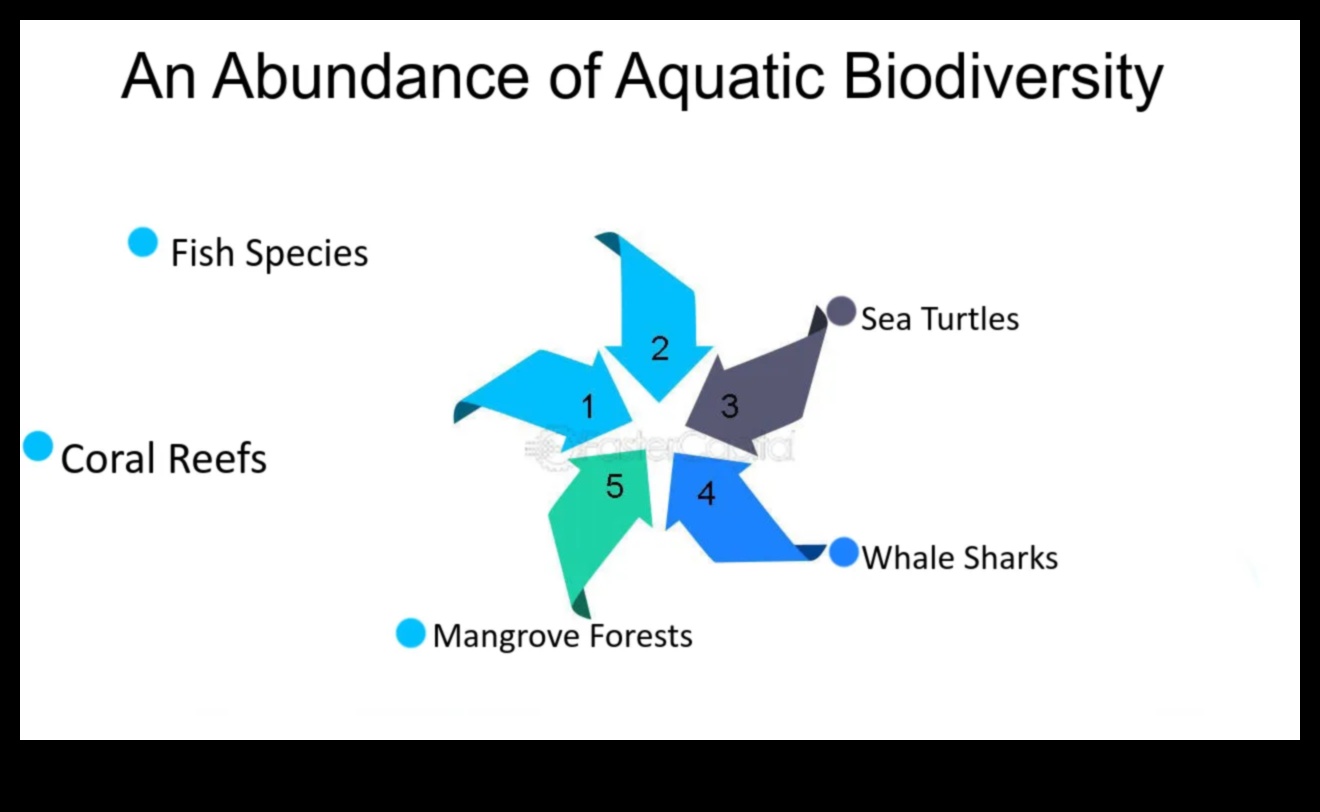 Why are coastal landscapes so dynamic and diverse?