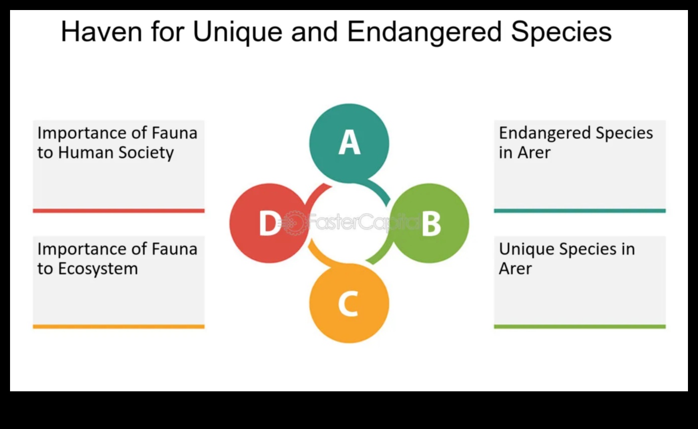Why are coastal landscapes so dynamic and diverse?