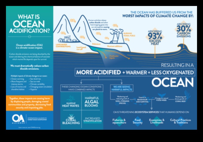 Coastal Resilience in the Face of Ocean Acidification 1