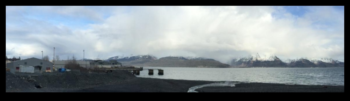 How are coastal landscapes adapting to the impacts of ocean acidification?