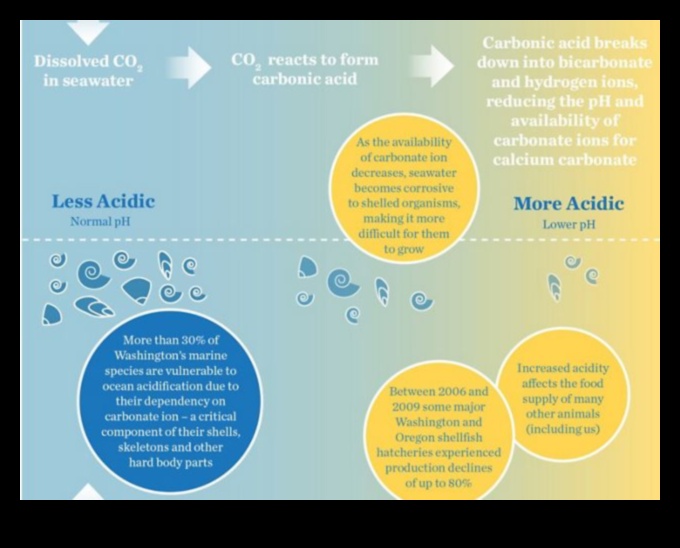 How are coastal landscapes adapting to the impacts of ocean acidification?