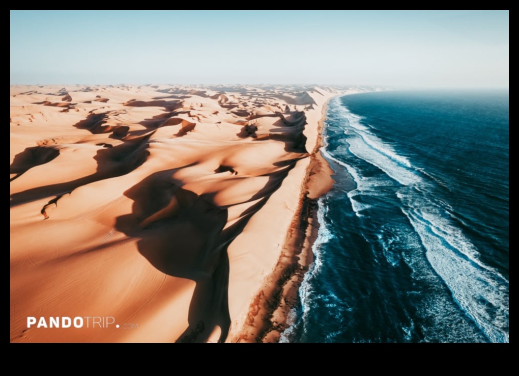 Coastal Views A Look at the Beauty of the Sea 1