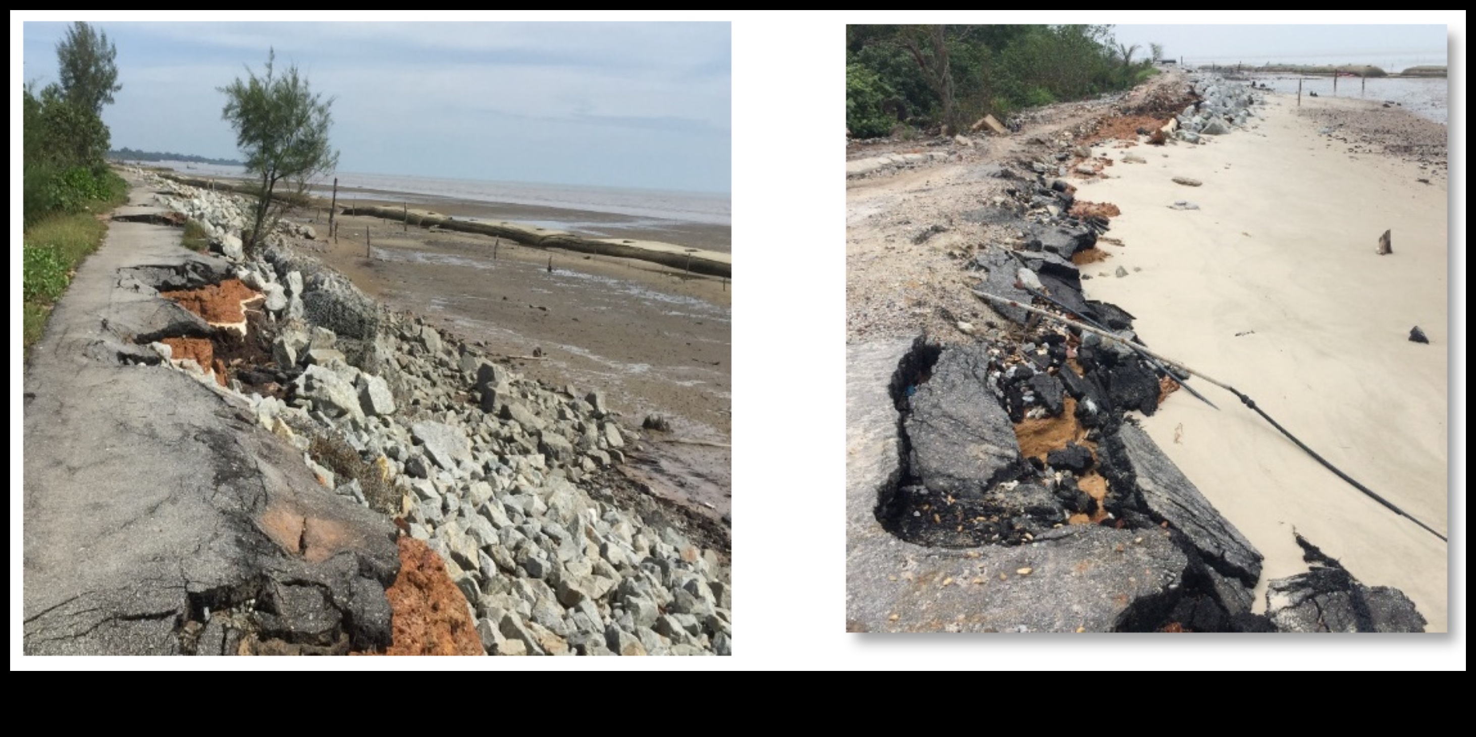 Why are coastal landscapes vulnerable to pollution and habitat destruction?