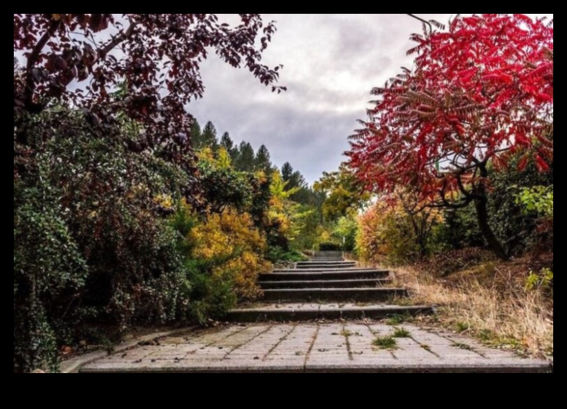 Compact Gardens, Big Impact Container Gardening Magic for Small Spaces 1