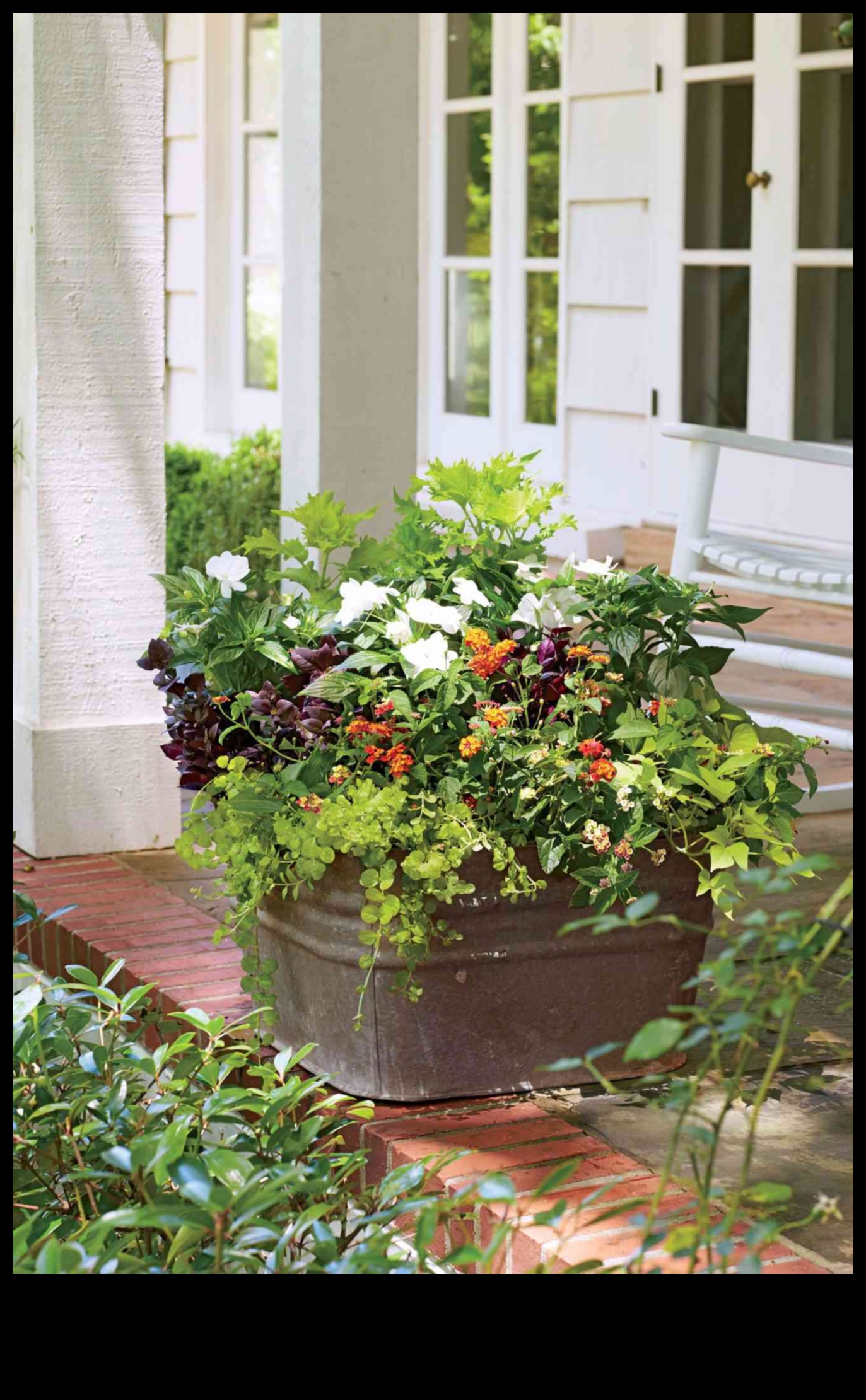 Compact Gardens, Big Impact Container Gardening Magic for Small Spaces 3 Compact Gardens, Big Impact: Container Gardening Magic