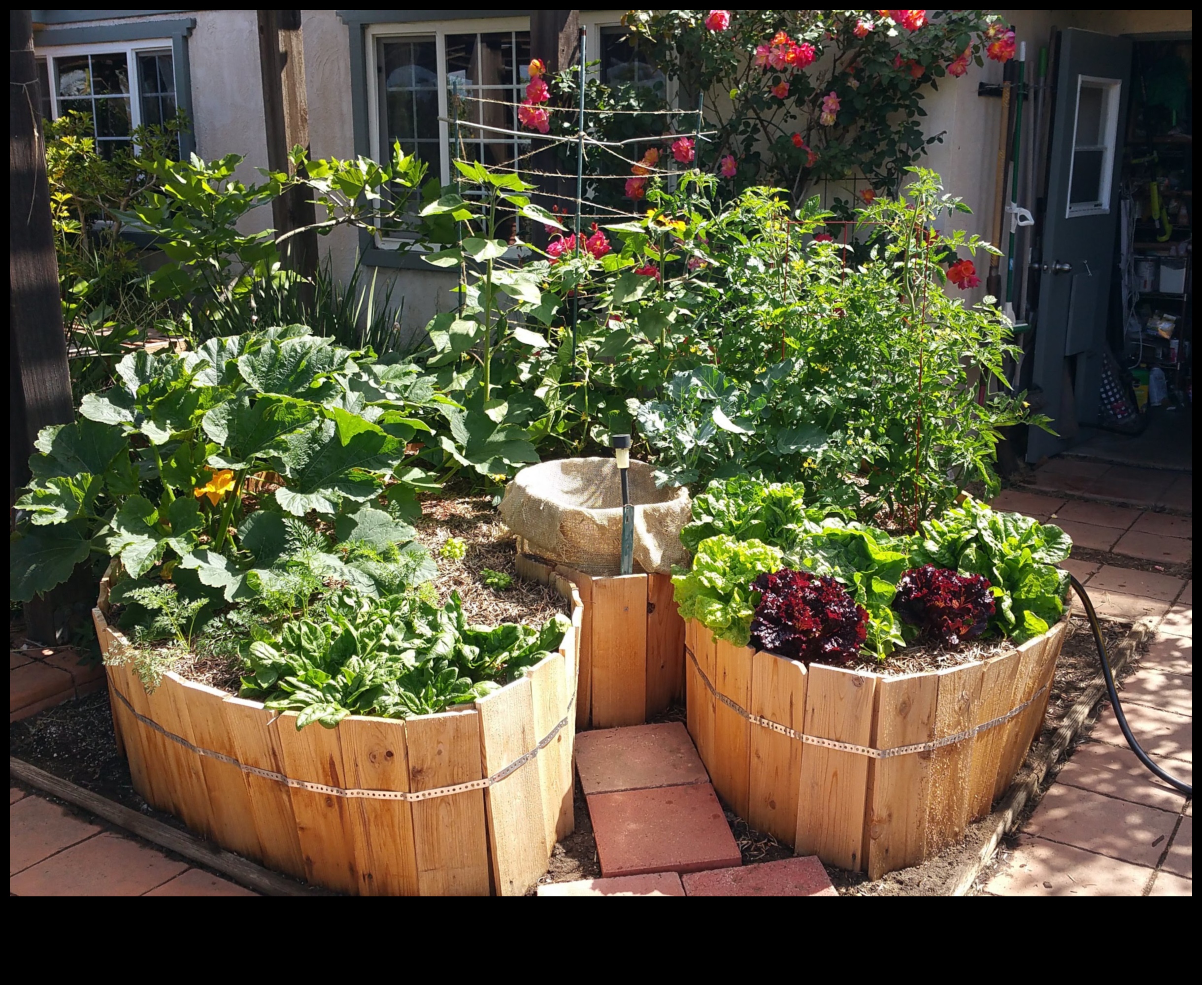 Compact Gardens, Big Impact Container Gardening Magic for Small Spaces 4 Compact Gardens, Big Impact: Container Gardening Magic