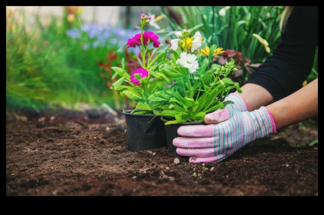 Companion Harmony: Crafting Your Garden's Perfect Pairing