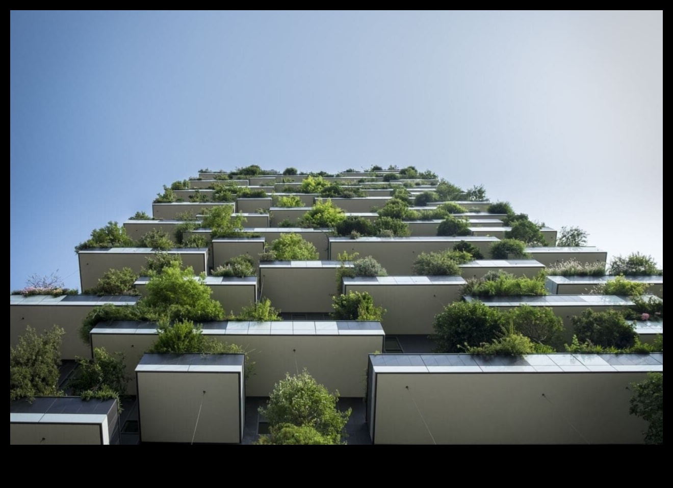 Concrete Greens How to Grow a Garden in the City 1 Concrete Greens: Urban Gardening Magic Unveiled