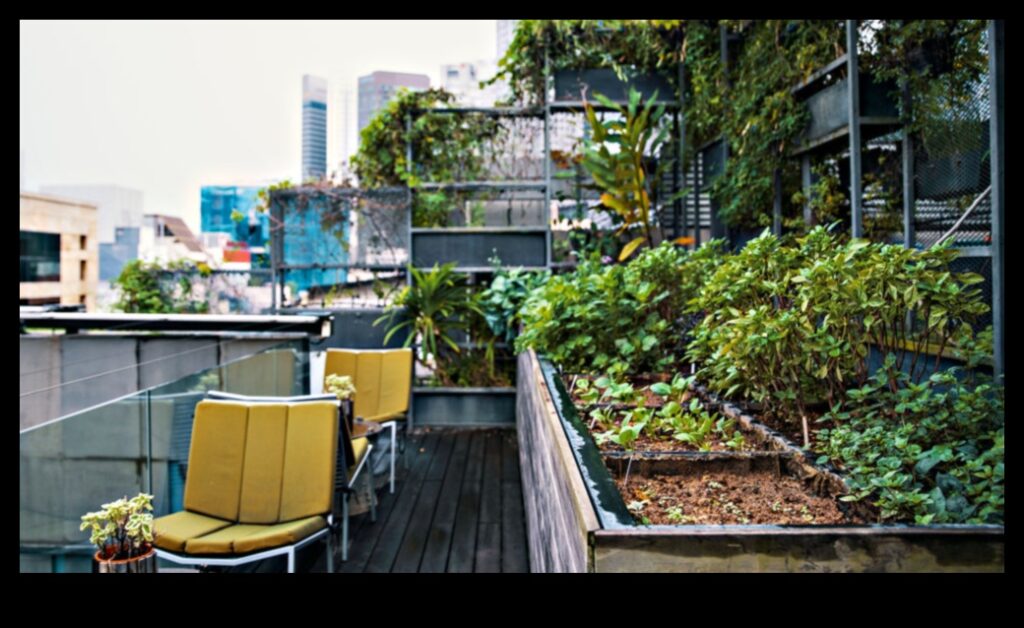 Concrete Jungle Blooms How Urban Gardening is Bringing Nature Back to the City 1