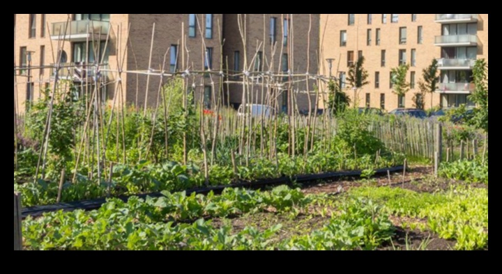 Concrete Jungle Greenery Bringing the Garden to the City 2 Concrete Jungle Greenery: Urban Gardening Essentials