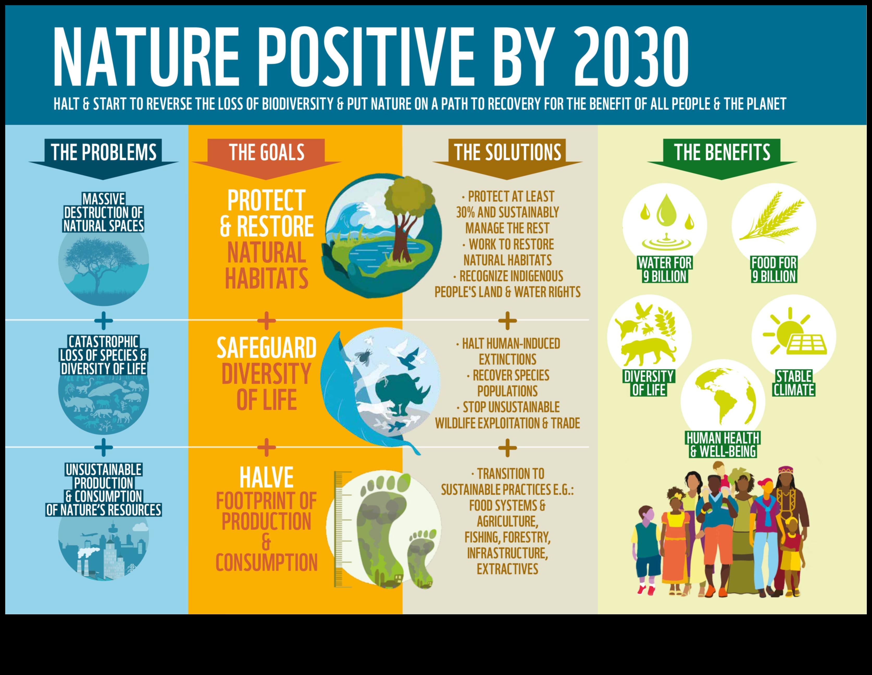Biodiversity Frontiers: Unveiling Conservation Areas Worldwide