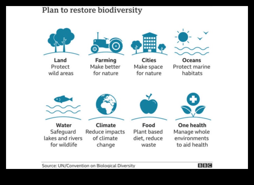 Biodiversity Frontiers: Unveiling Conservation Areas Worldwide