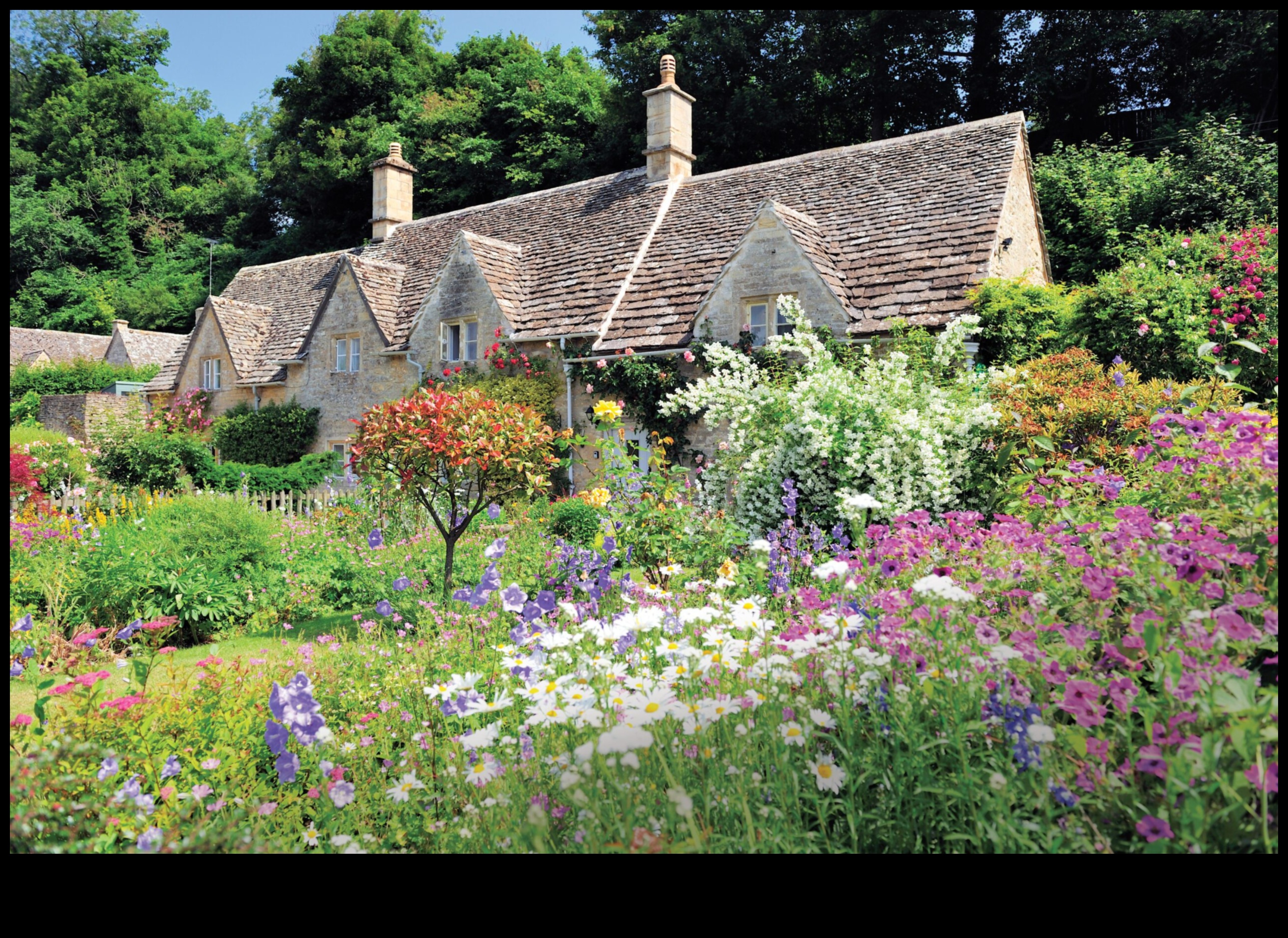 Cottage Elegance: Blooming Gardens of Enduring Beauty