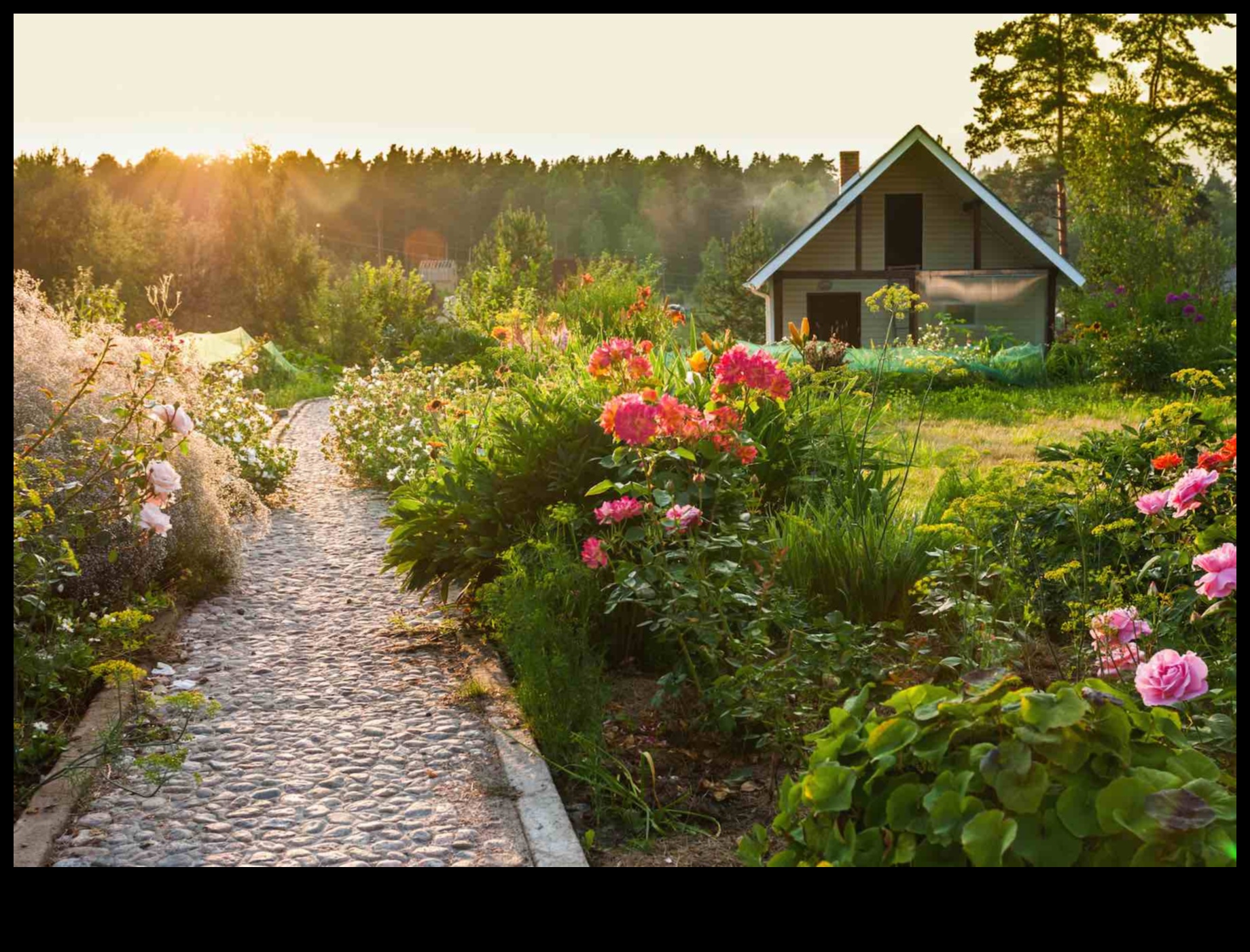 Cottage Elegance: Blooming Gardens of Enduring Beauty