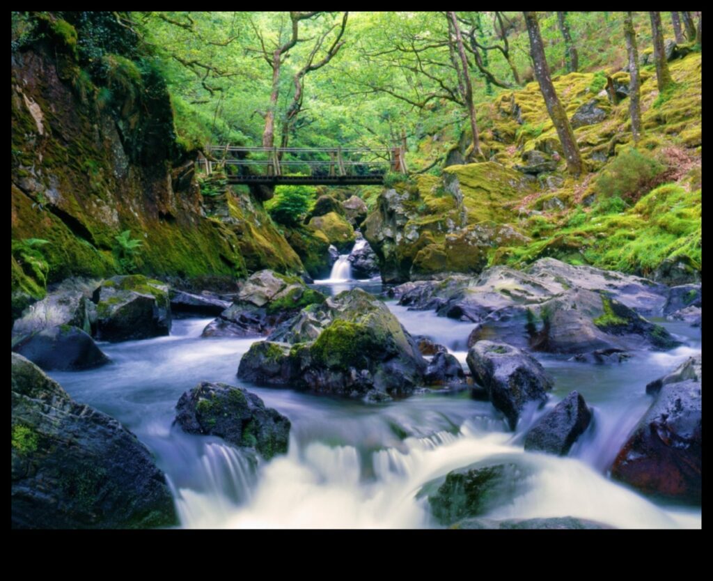 Countryside A Place of Tranquility and Wonder 1