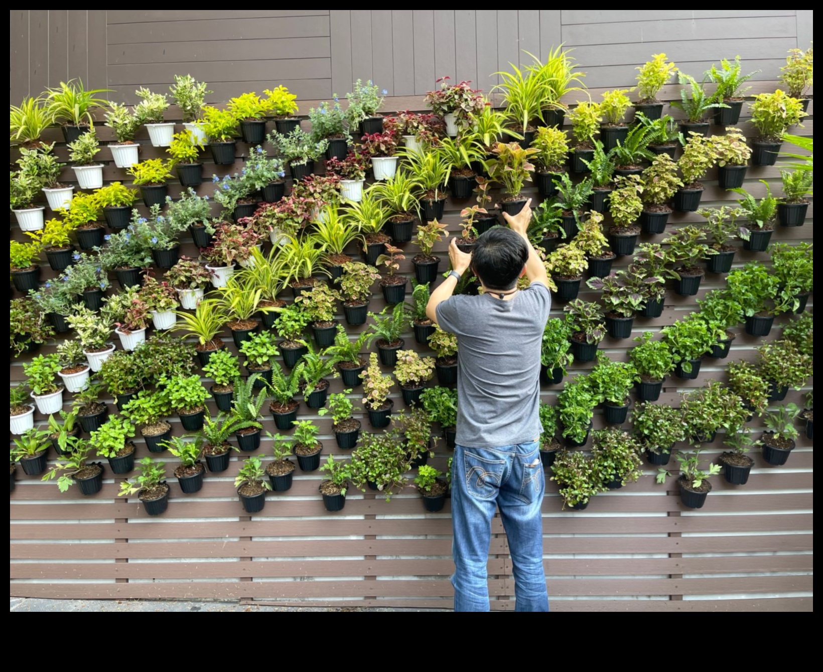 Crafting Greenery: DIY Adventures for a Thriving Garden