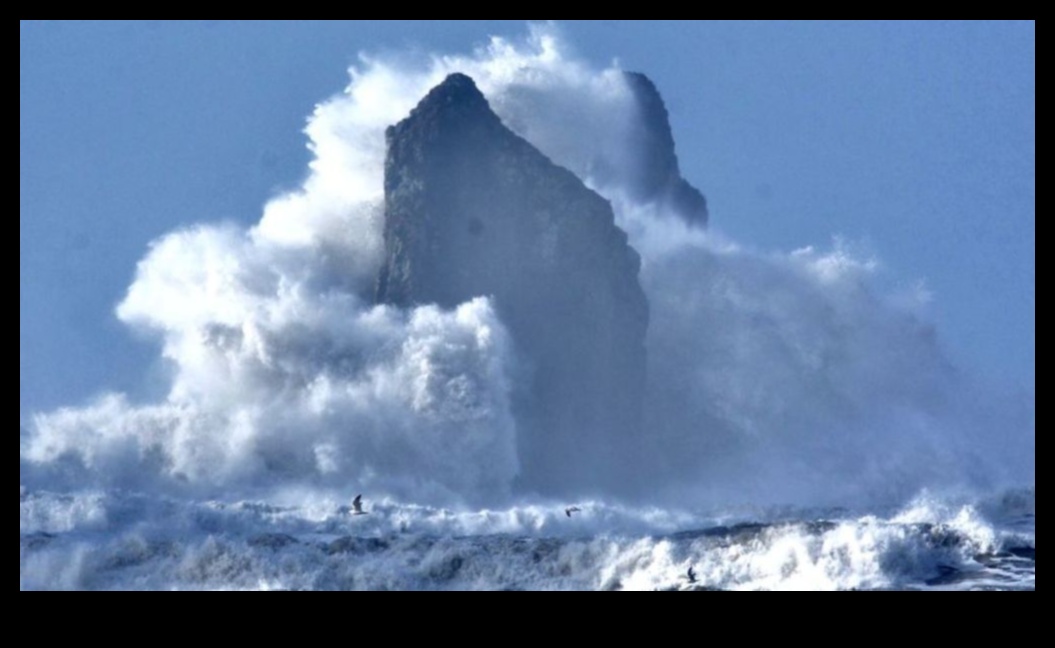 The Rhythm of Waves: Coastal and Shoreline Views Unveiled