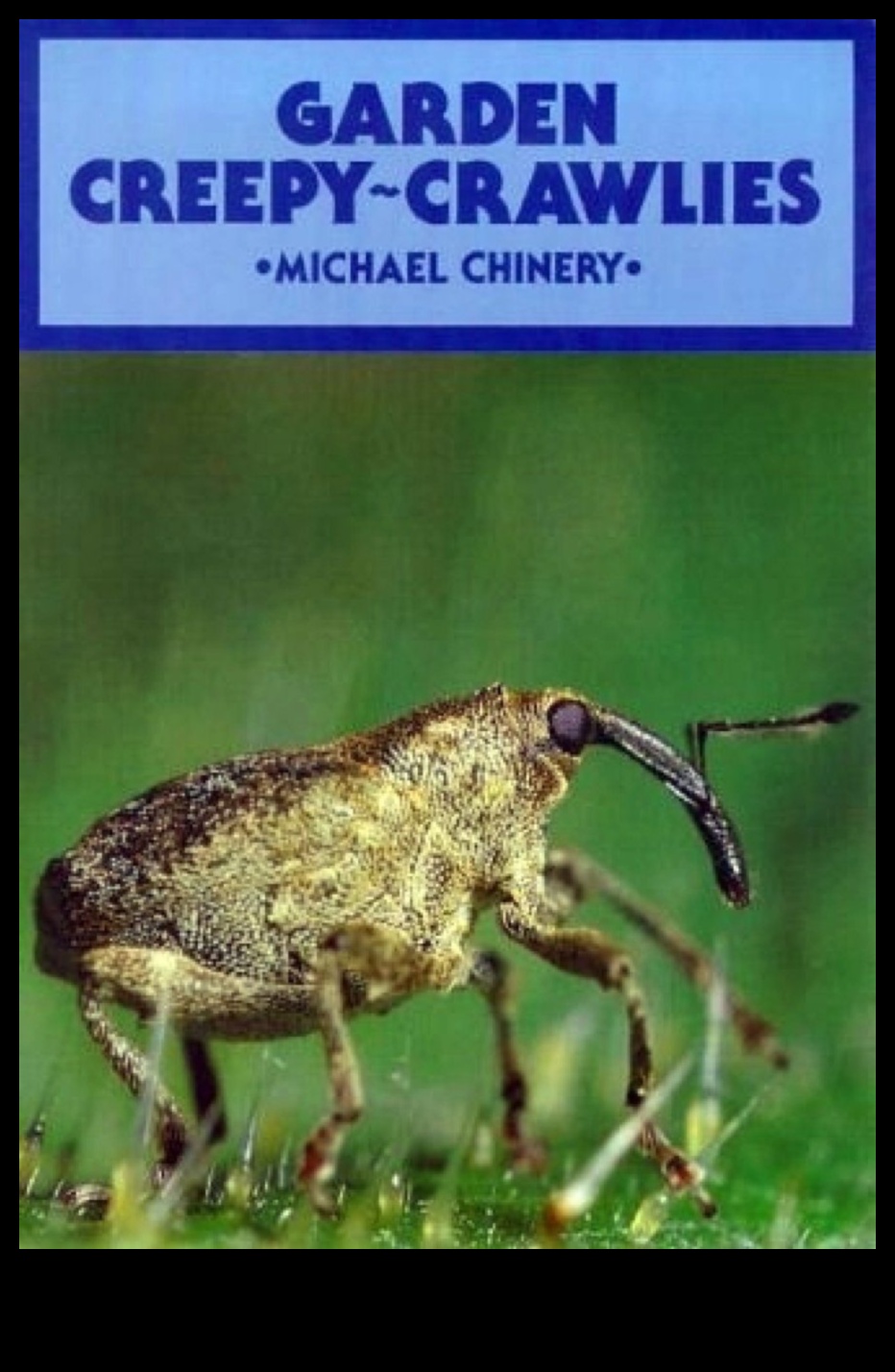 Crawlies, Creepies, and Control: Mastering Garden Pest Defense