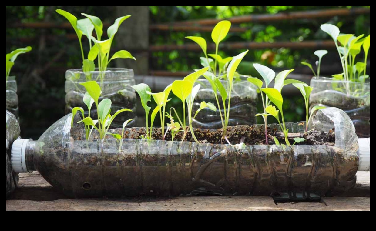 Eco-Friendly Gardens: Sustainable DIY Projects for All