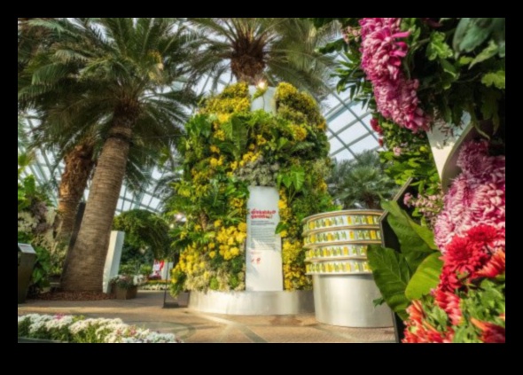 Creative Oasis: Unveiling the Charm of Garden Artistry