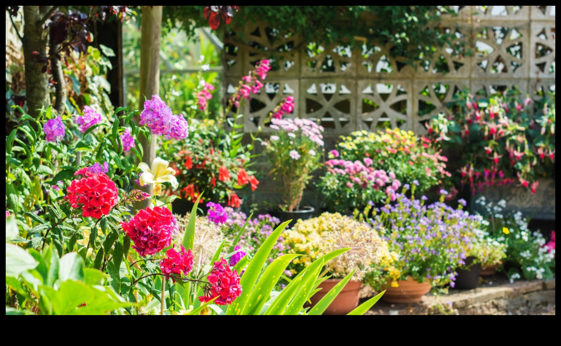 Creepy Crawlers Begone: Protecting Your Garden