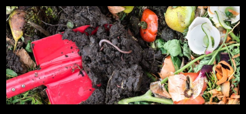 Creepy Crawlers Begone: Protecting Your Garden