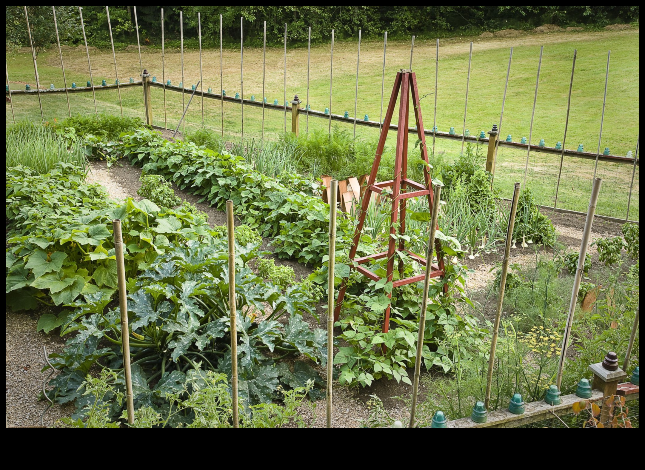 Critter Combat: Strategies to Safeguard Your Garden