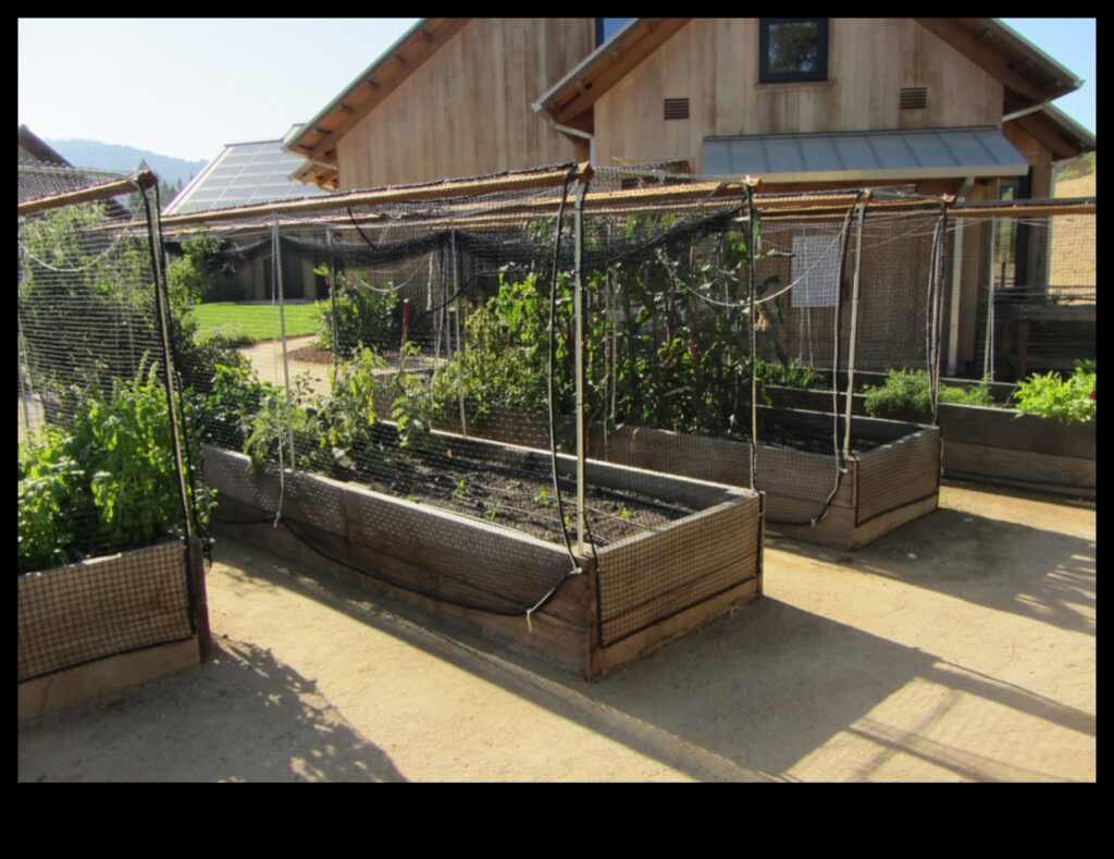 Critter Conundrum How to Defend Your Garden Oasis 1