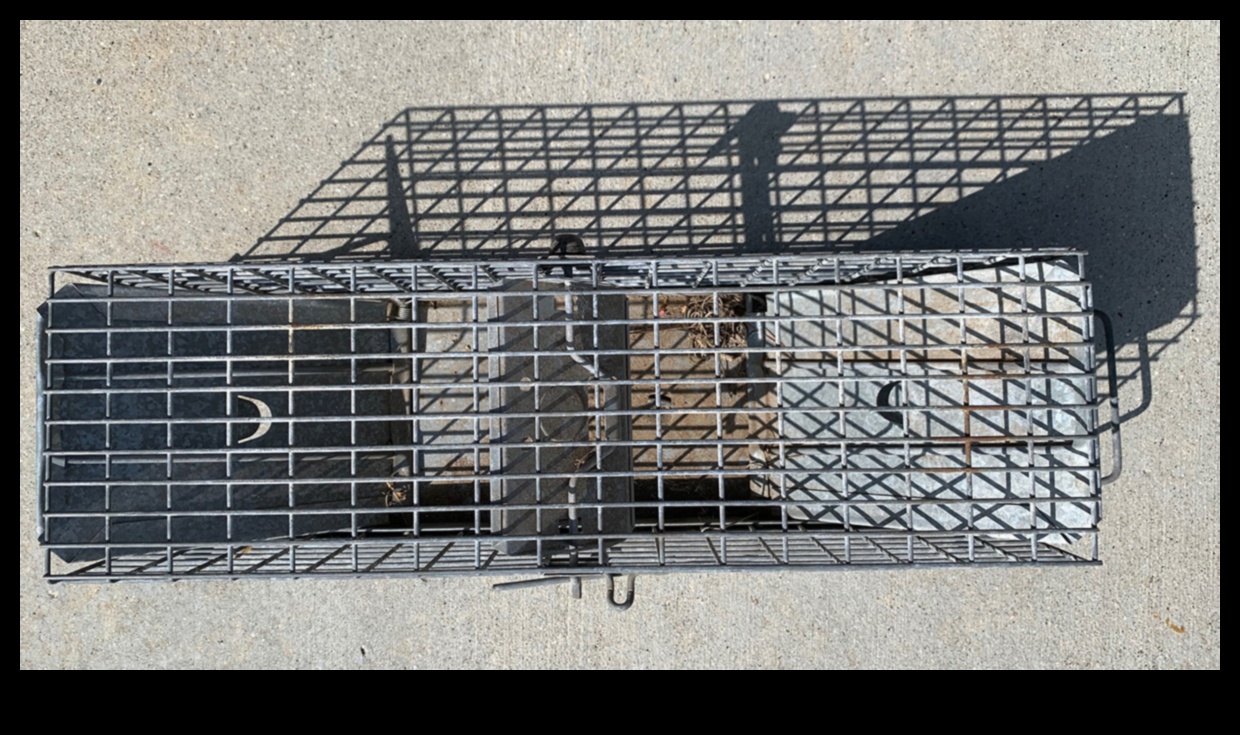 Critter Conundrum How to Defend Your Garden Oasis 5 Critter Conundrum? Defend Your Garden Oasis