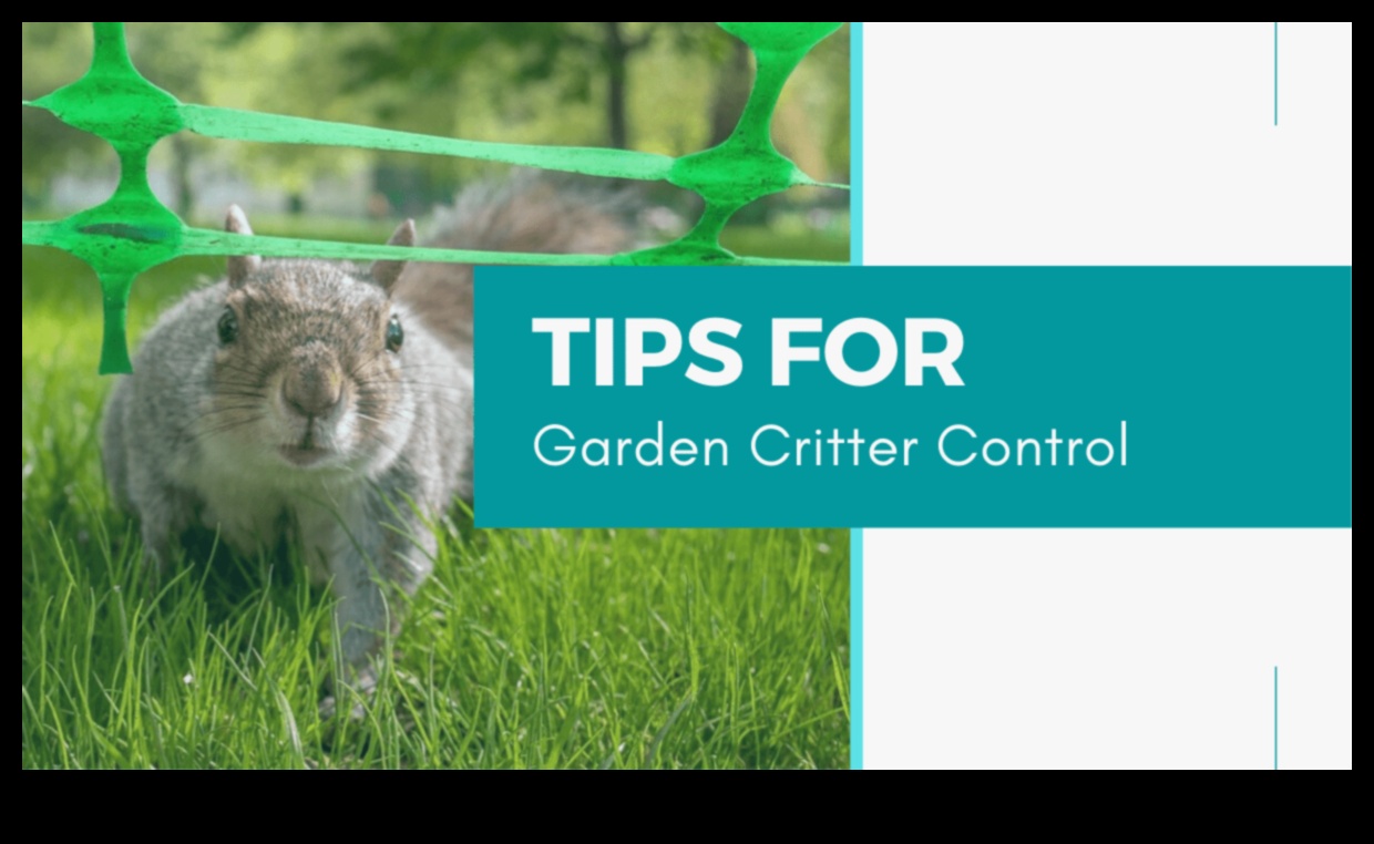 Critter Crisis? Solutions for a Pest-Free Garden