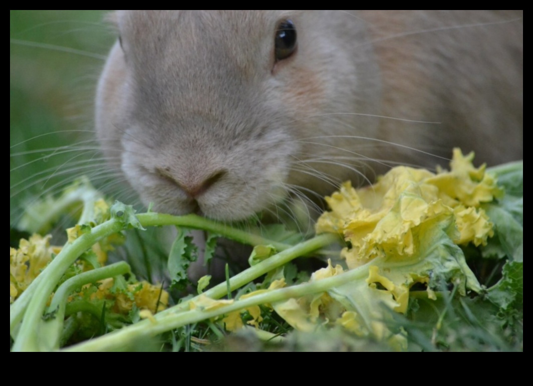 Critter Crisis? Solutions for a Pest-Free Garden