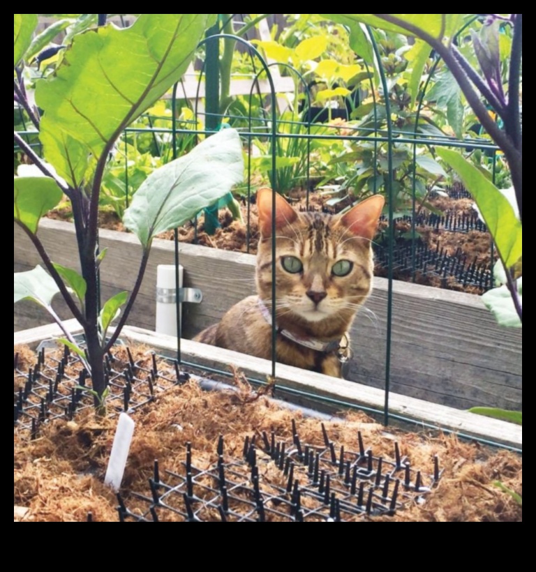 Critter Crisis? Solutions for a Pest-Free Garden