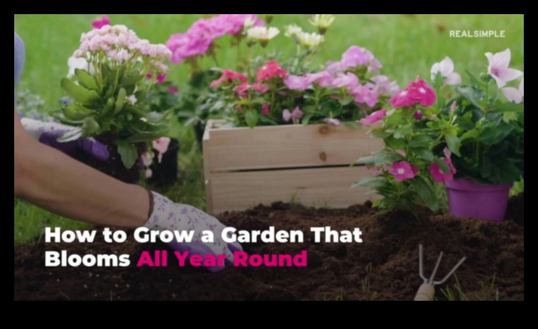 Cultivate Beauty How to Keep Your Garden Looking its Best All Year Round 2 Cultivate Beauty: Unlocking the Secrets of Effective Garden Maintenance