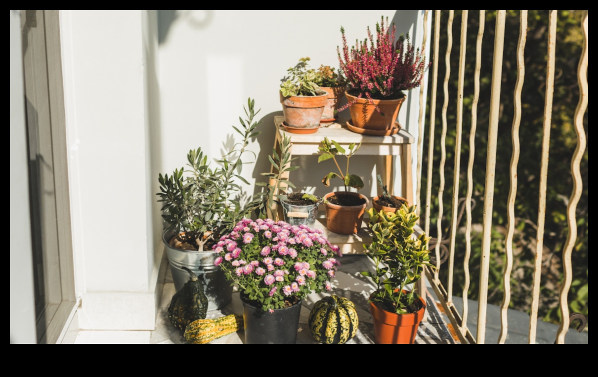 Cultivate Beauty How to Keep Your Garden Looking its Best All Year Round 4 Cultivate Beauty: Unlocking the Secrets of Effective Garden Maintenance
