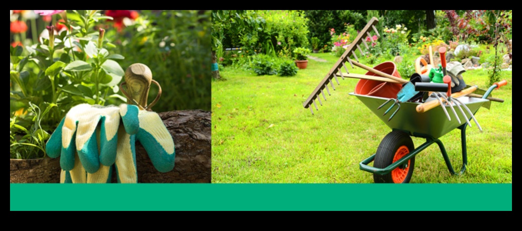 Cultivate Brilliance: Superior Garden Equipment Defined